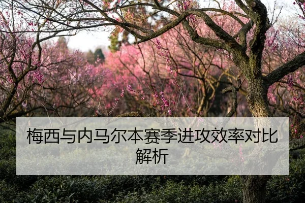 梅西与内马尔本赛季进攻效率对比解析