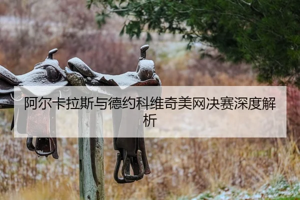 阿尔卡拉斯与德约科维奇美网决赛深度解析